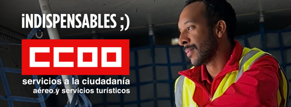 INDISPEMSABLES AEREO